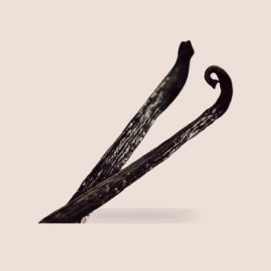 Vanilla bean