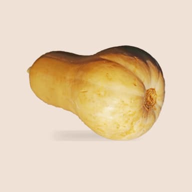 Winter squash