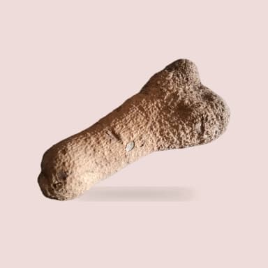 Yam