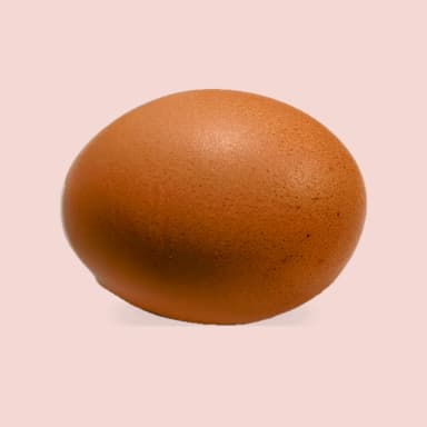 Chicken egg