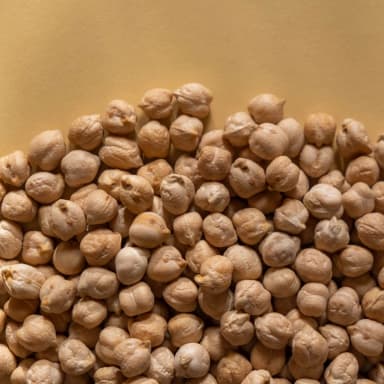 Chickpea