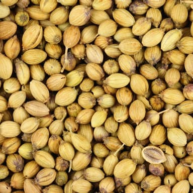 Coriander seed