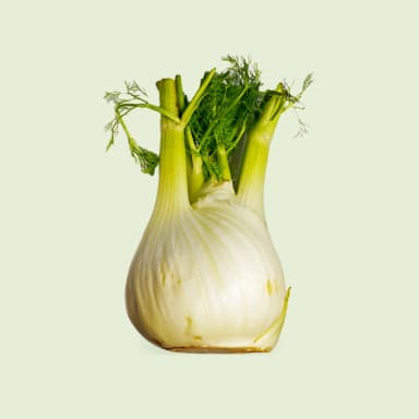 Fennel bulb