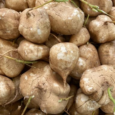 Jicama