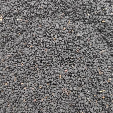 Nigella seed